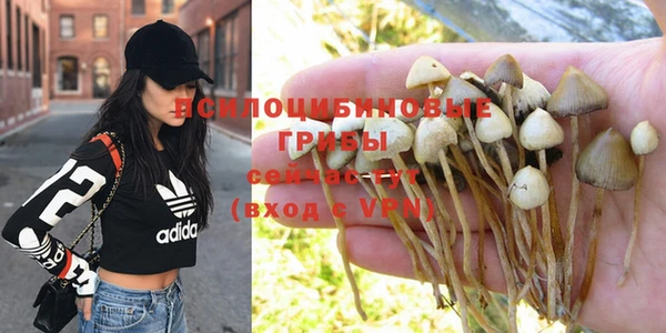 винт Осинники